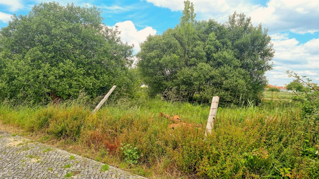 Terreno para Venda em Paião Foto 6