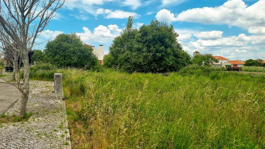 Terreno para Venda em Paião Foto 6