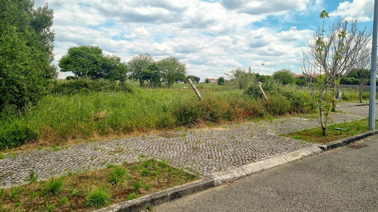 Terreno para Venda em Paião Foto 15