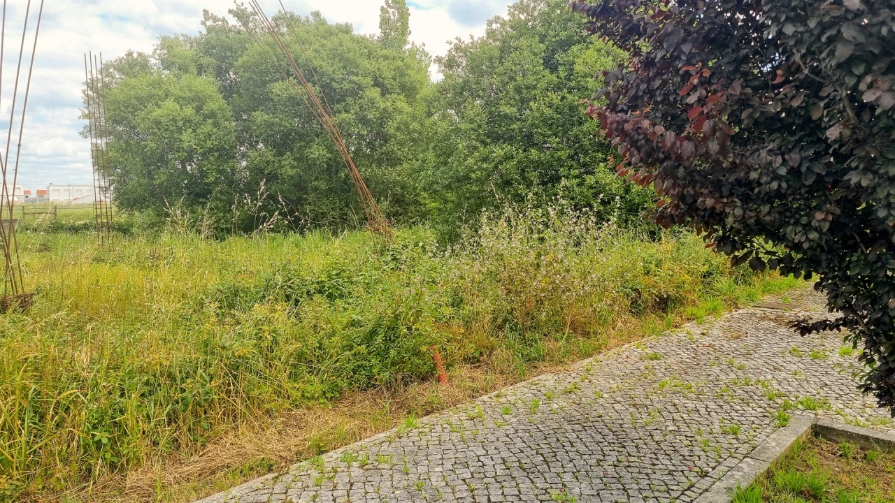 Terreno para Venda em Paião Foto 14