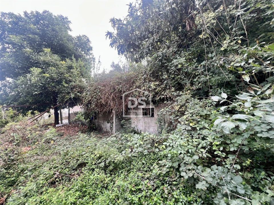 Prédio para Venda em Cedofeita, Santo Ildefonso, Sé, Miragaia, São Nicolau e Vitória Foto 17