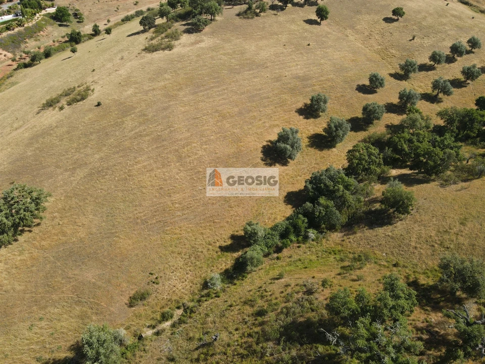 Terreno Agricola ou Rústico para Venda em Garvão e Santa Luzia Foto 4