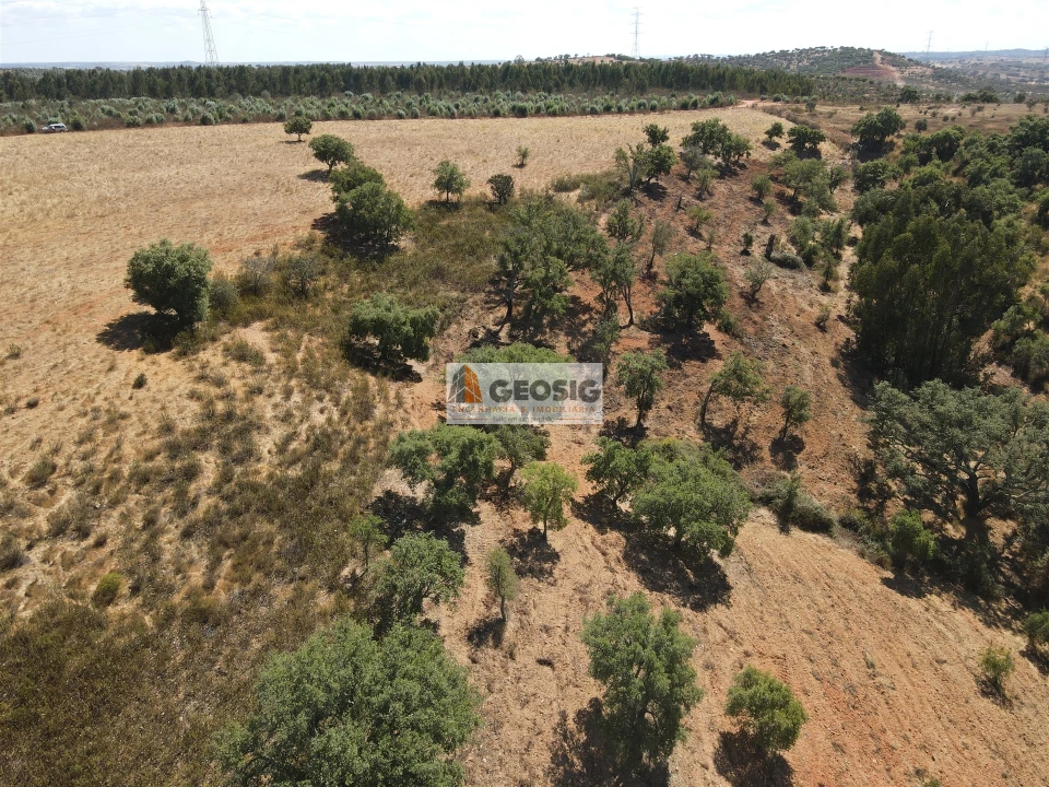 Terreno Agricola ou Rústico para Venda em Garvão e Santa Luzia Foto 5