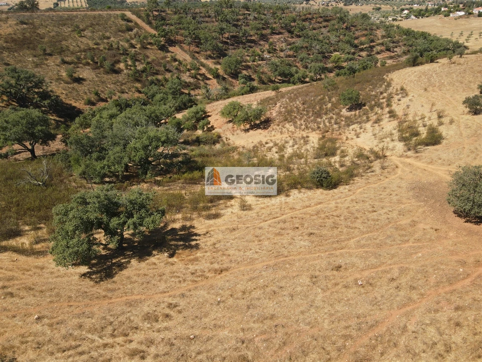 Terreno Agricola ou Rústico para Venda em Garvão e Santa Luzia Foto 3