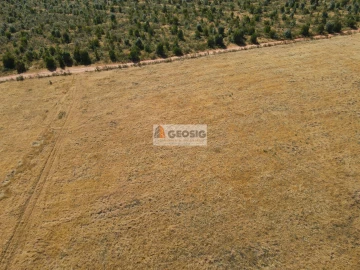 Terreno Agricola ou Rústico para Venda em Garvão e Santa Luzia