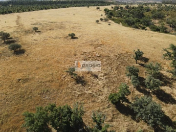 Terreno Agricola ou Rústico para Venda em Garvão e Santa Luzia
