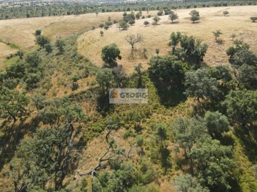 Terreno Agricola ou Rústico para Venda em Garvão e Santa Luzia