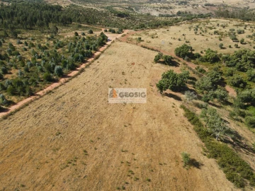 Terreno Agricola ou Rústico para Venda em Garvão e Santa Luzia