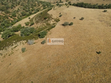 Terreno Agricola ou Rústico para Venda em Garvão e Santa Luzia