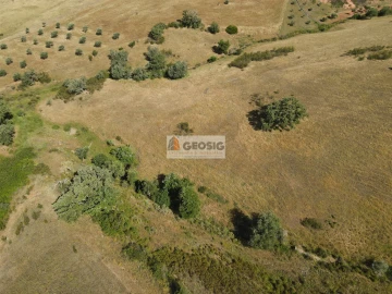 Terreno Agricola ou Rústico para Venda em Garvão e Santa Luzia