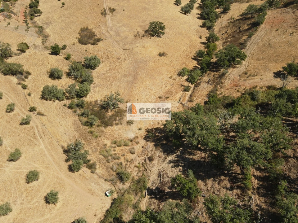 Terreno Agricola ou Rústico para Venda em Garvão e Santa Luzia Foto 7