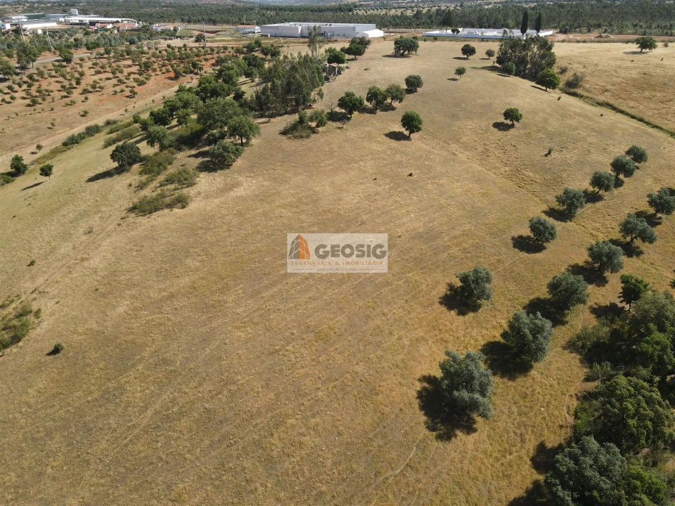 Terreno Agricola ou Rústico para Venda em Garvão e Santa Luzia Foto 5