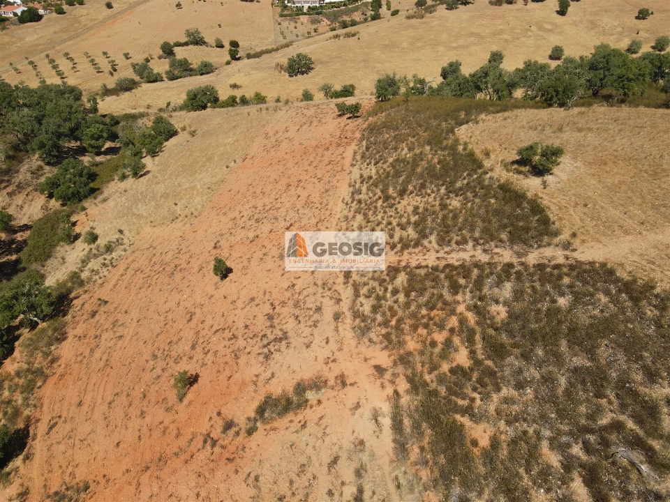 Terreno Agricola ou Rústico para Venda em Garvão e Santa Luzia Foto 2
