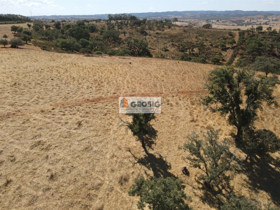 Terreno Agricola ou Rústico para Venda em Garvão e Santa Luzia Foto 13