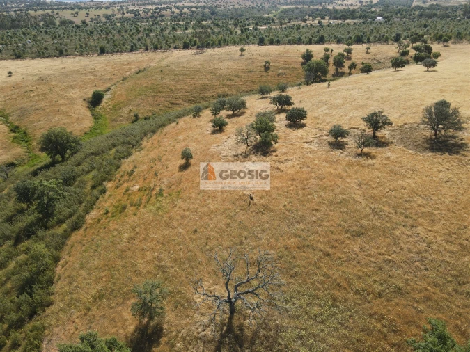 Terreno Agricola ou Rústico para Venda em Garvão e Santa Luzia Foto 14