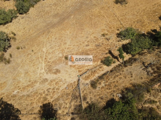 Terreno Agricola ou Rústico para Venda em Garvão e Santa Luzia Foto 4