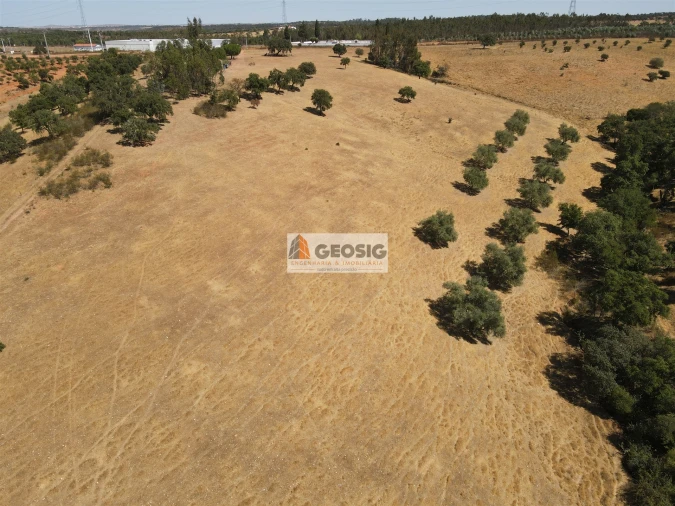 Terreno Agricola ou Rústico para Venda em Garvão e Santa Luzia Foto 10