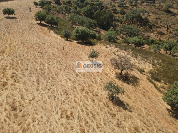 Terreno Agricola ou Rústico para Venda em Garvão e Santa Luzia Foto 15