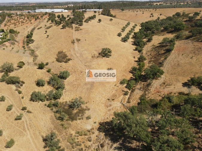 Terreno Agricola ou Rústico para Venda em Garvão e Santa Luzia Foto 8