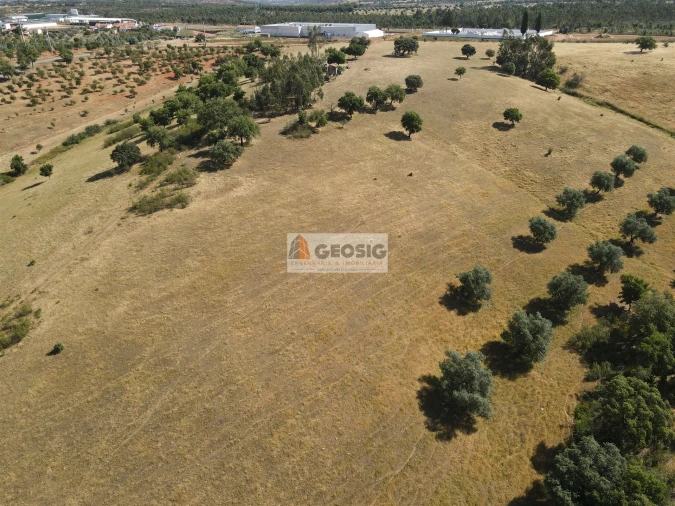 Terreno Agricola ou Rústico para Venda em Garvão e Santa Luzia Foto 5