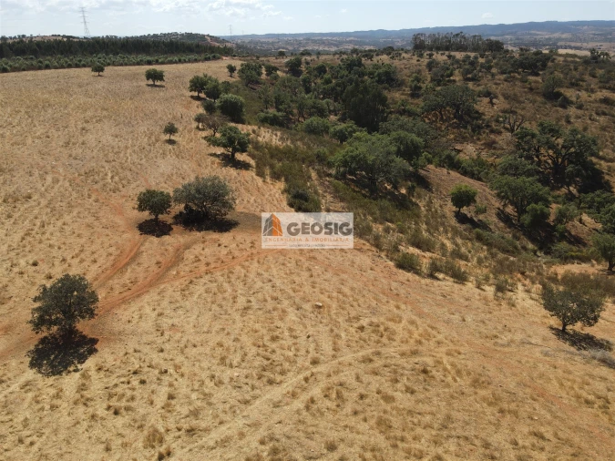 Terreno Agricola ou Rústico para Venda em Garvão e Santa Luzia Foto 9