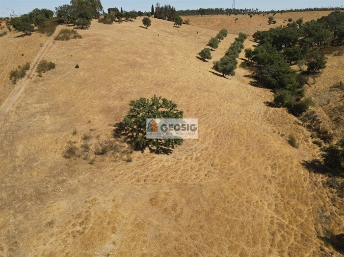 Terreno Agricola ou Rústico para Venda em Garvão e Santa Luzia Foto 11