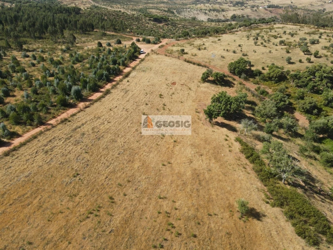 Terreno Agricola ou Rústico para Venda em Garvão e Santa Luzia Foto 18