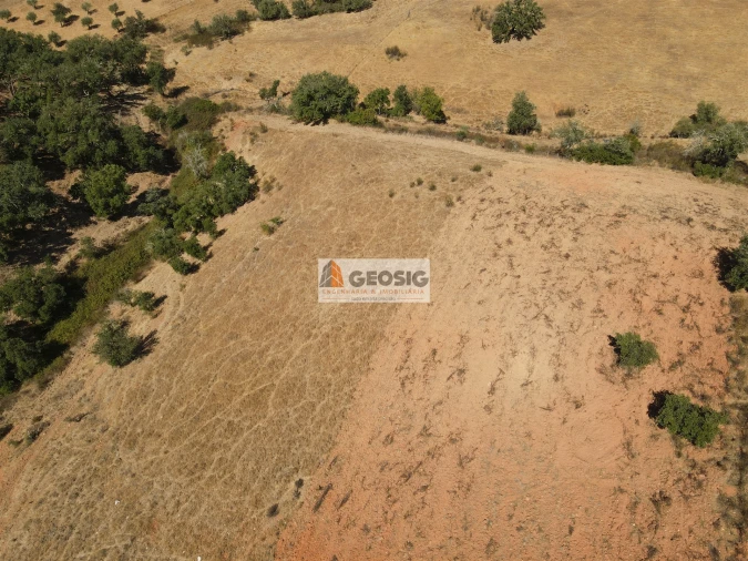 Terreno Agricola ou Rústico para Venda em Garvão e Santa Luzia Foto 16