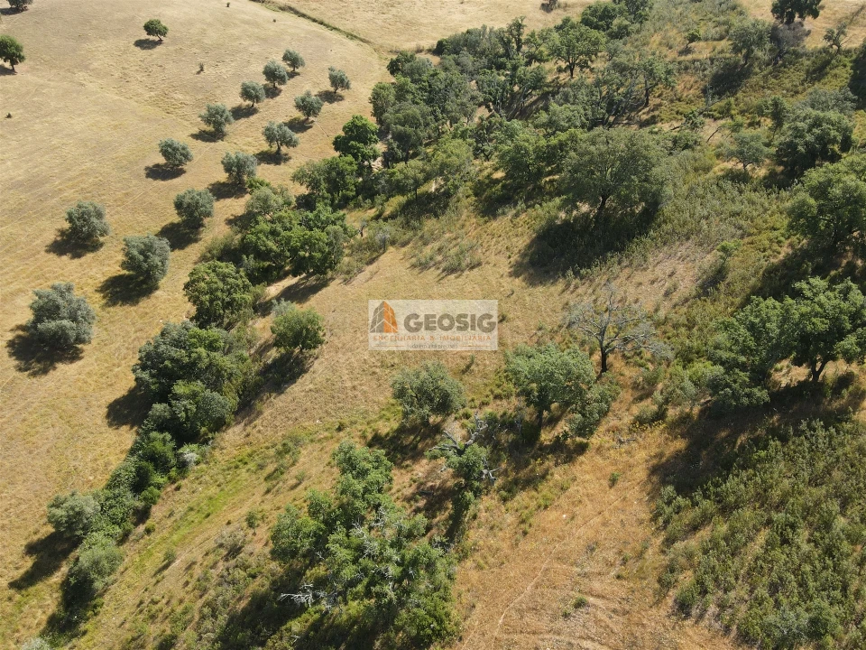 Terreno Agricola ou Rústico para Venda em Garvão e Santa Luzia Foto 8