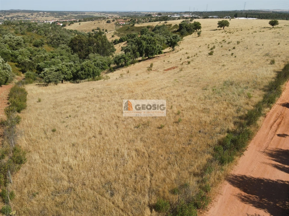 Terreno Agricola ou Rústico para Venda em Garvão e Santa Luzia Foto 13