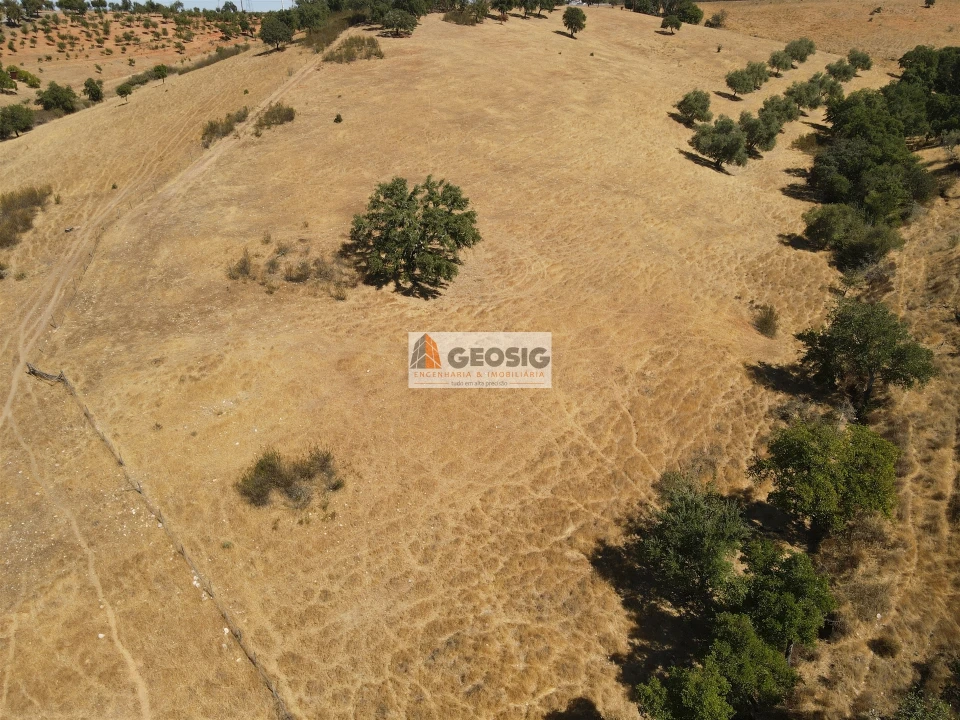 Terreno Agricola ou Rústico para Venda em Garvão e Santa Luzia Foto 12