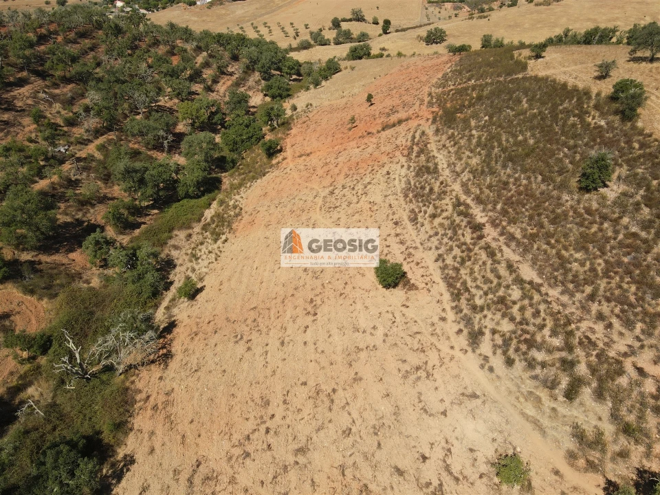 Terreno Agricola ou Rústico para Venda em Garvão e Santa Luzia Foto 1