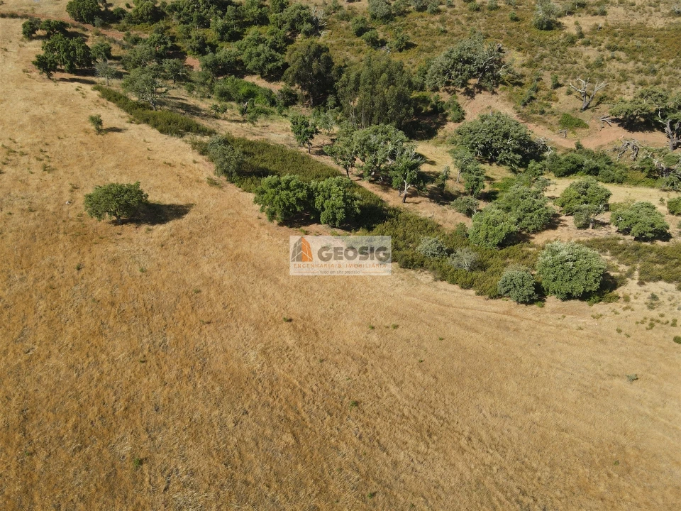 Terreno Agricola ou Rústico para Venda em Garvão e Santa Luzia Foto 10
