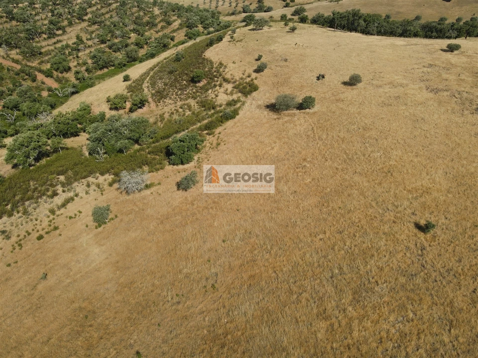 Terreno Agricola ou Rústico para Venda em Garvão e Santa Luzia Foto 17