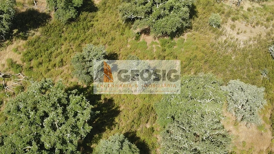 Terreno Agricola ou Rústico para Venda em Garvão e Santa Luzia
