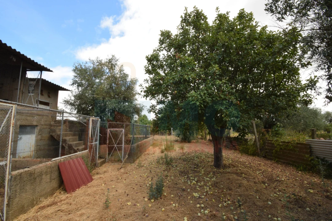 Terreno Agricola ou Rústico para Venda em Escalos de Baixo e Mata Foto 18