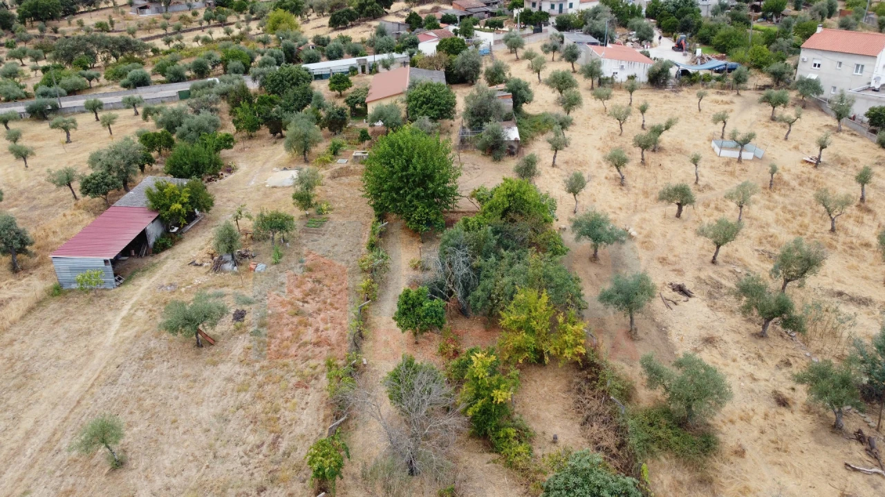 Terreno Agricola ou Rústico para Venda em Escalos de Baixo e Mata Foto 13
