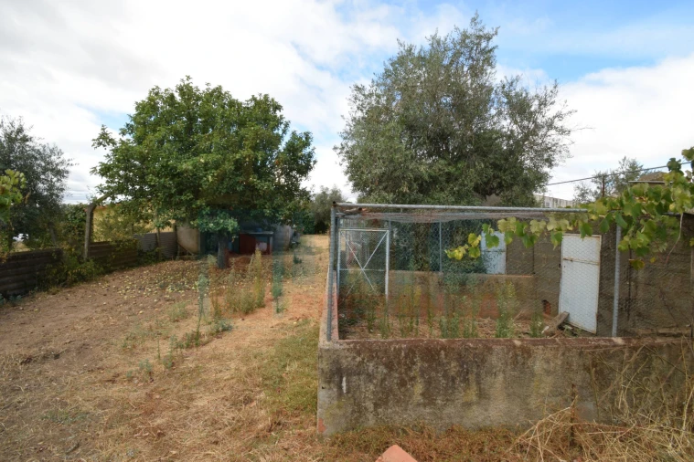Terreno Agricola ou Rústico para Venda em Escalos de Baixo e Mata Foto 19