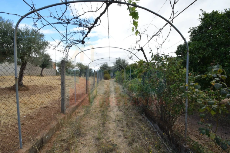 Terreno Agricola ou Rústico para Venda em Escalos de Baixo e Mata Foto 4