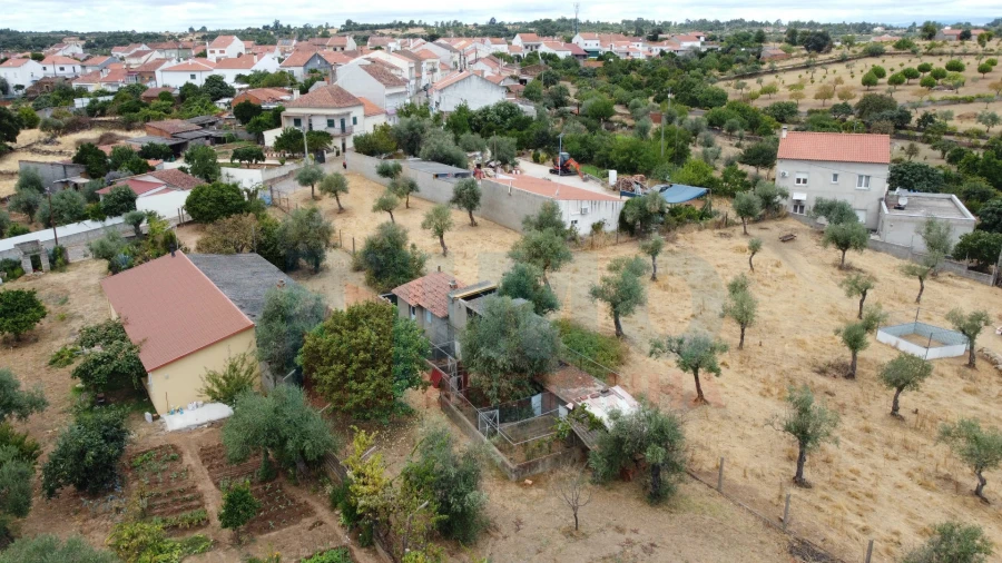 Terreno Agricola ou Rústico para Venda em Escalos de Baixo e Mata Foto 15