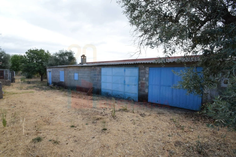 Terreno Agricola ou Rústico para Venda em Escalos de Baixo e Mata Foto 5