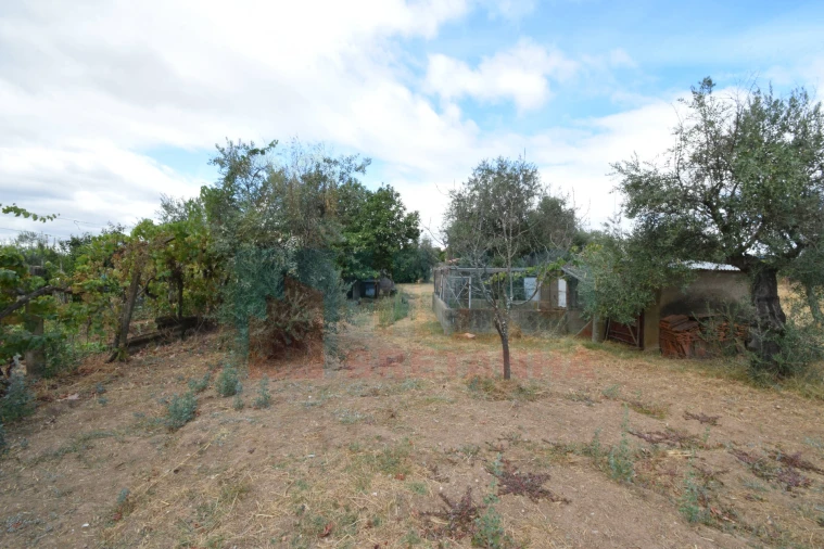 Terreno Agricola ou Rústico para Venda em Escalos de Baixo e Mata Foto 21