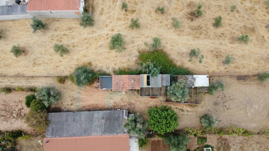 Terreno Agricola ou Rústico para Venda em Escalos de Baixo e Mata Foto 10