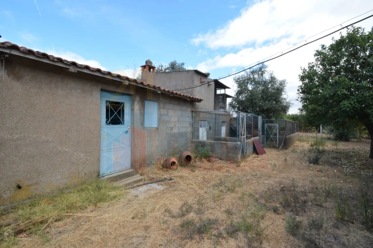 Terreno Agricola ou Rústico para Venda em Escalos de Baixo e Mata Foto 6