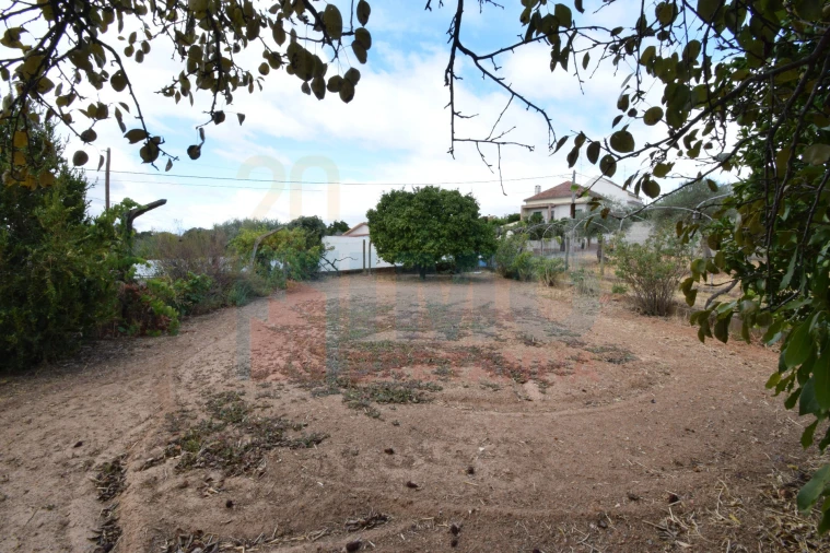 Terreno Agricola ou Rústico para Venda em Escalos de Baixo e Mata Foto 17