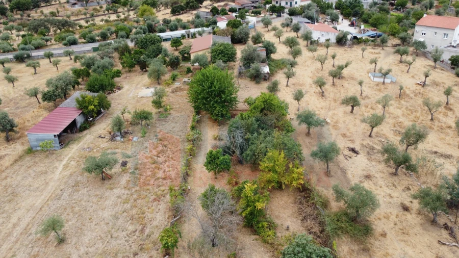 Terreno Agricola ou Rústico para Venda em Escalos de Baixo e Mata Foto 13