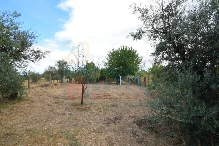 Terreno Agricola ou Rústico para Venda em Escalos de Baixo e Mata Foto 22