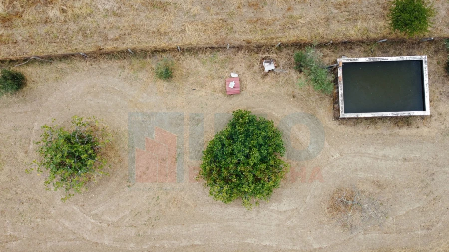 Terreno Agricola ou Rústico para Venda em Escalos de Baixo e Mata Foto 12