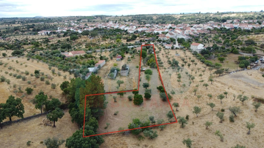 Terreno Agricola ou Rústico para Venda em Escalos de Baixo e Mata Foto 2