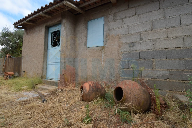 Terreno Agricola ou Rústico para Venda em Escalos de Baixo e Mata Foto 8